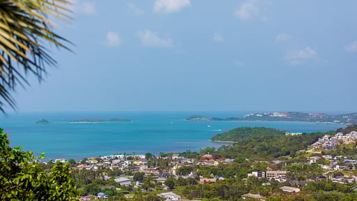 Villa Firefly Others