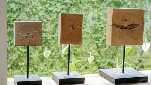 Villa Flores Ubud Autres