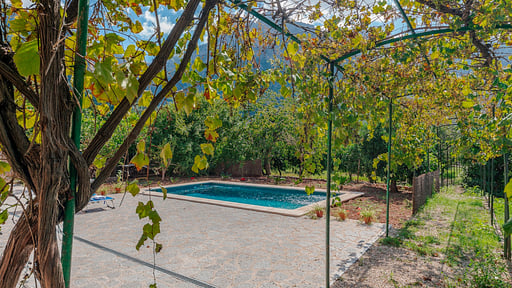 Villa Florida Others