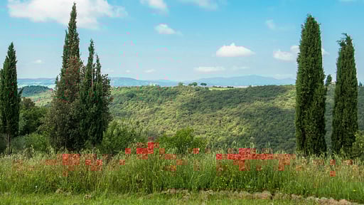 Villa Fontanelle 14 Andere