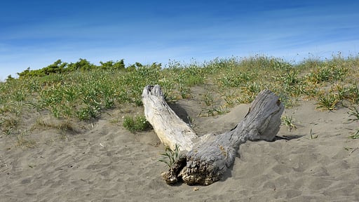 Villa Fontanili Ginepro Surroundings