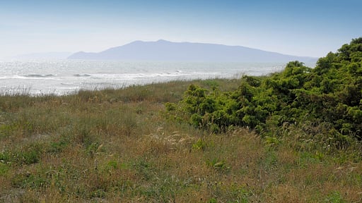 Villa Fontanili Ginepro Beach