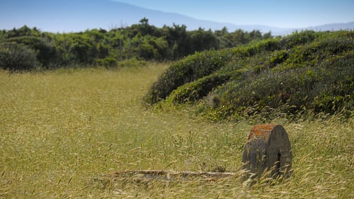 Villa Fontanili Ginepro Surroundings