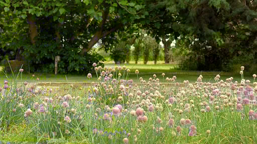 Villa Fontanili Ginepro Garden