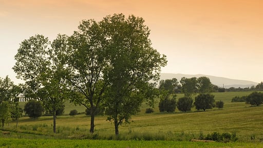 Villa Fontanili Ginepro Surroundings