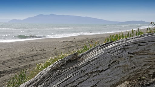 Villa Fontanili Leccio Beach