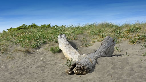 Villa Fontanili Leccio Surroundings