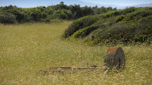 Villa Fontanili Leccio Surroundings