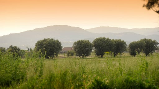 Villa Fontanili Leccio Surroundings