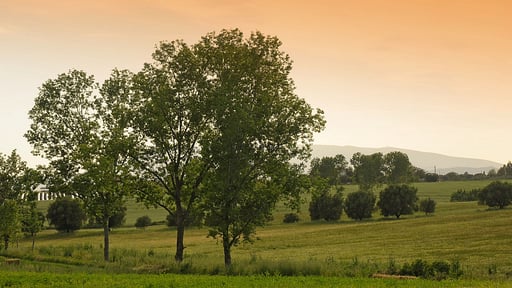 Villa Fontanili Leccio Surroundings