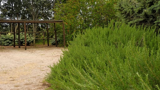 Villa Fontanili Leccio Surroundings