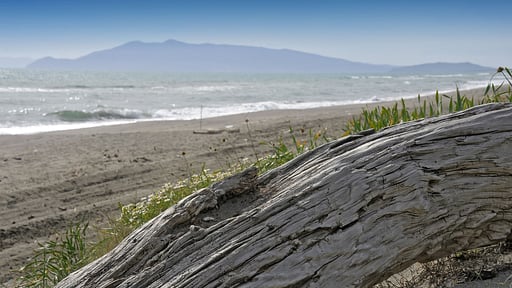 Villa Fontanili Lentisco Beach