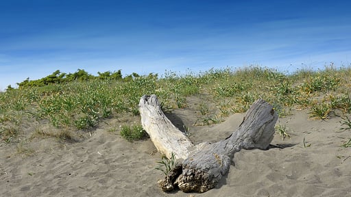 Villa Fontanili Lentisco Beach