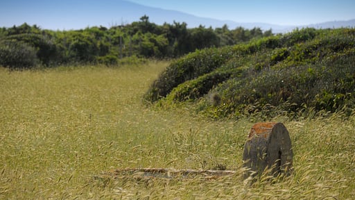 Villa Fontanili Lentisco Surroundings