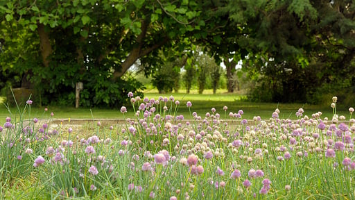 Villa Fontanili Lentisco Surroundings