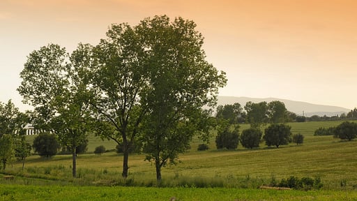 Villa Fontanili Lentisco Surroundings