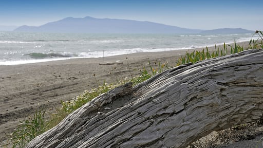 Villa Fontanili Mirto Strand
