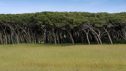 Villa Fontanili Mirto Umgebung