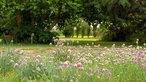 Villa Fontanili Mirto Andere 