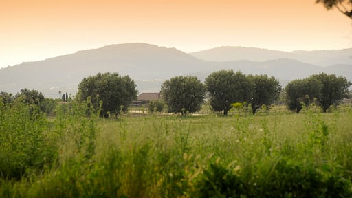 Villa Fontanili Mirto Umgebung