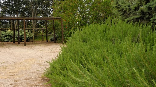 Villa Fontanili Mirto Umgebung