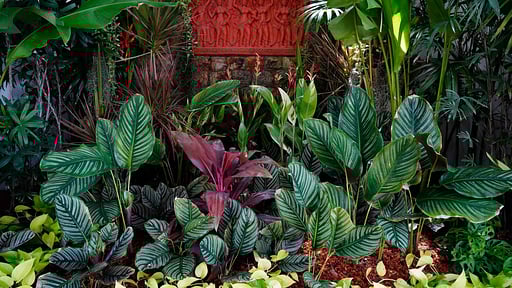 Villa Frangipani Samui Otros