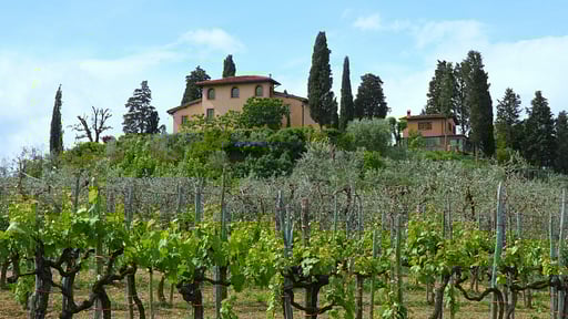 Villa Fratini Drohnen-Bilder