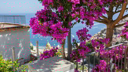 Villa Garfield Others