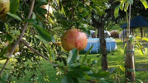 Villa Giardino Tropicale Autres