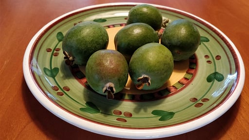 Villa Giardino Tropicale Autres