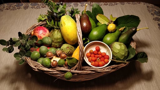 Villa Giardino Tropicale Autres