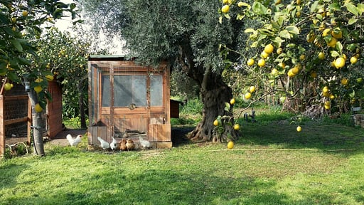 Villa Giardino Others