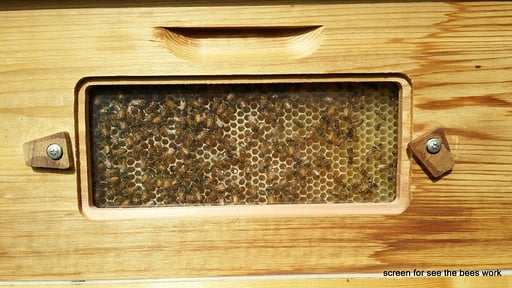 Villa Giardino Others