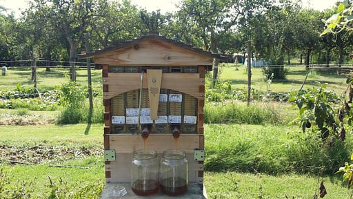 Villa Giardino Others