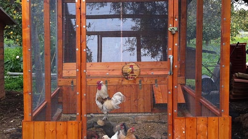 Villa Giardino Others