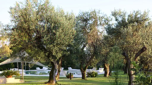 Villa Giulia Swimming pool