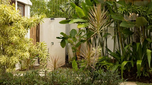 Villa Grasshopper Others