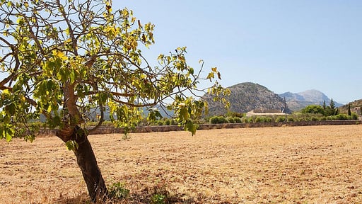 Villa Green Beryl Прочее