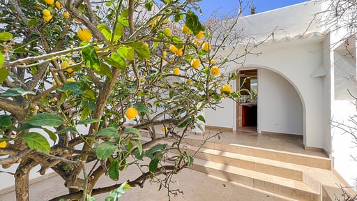 Villa Guacarachas Прочее