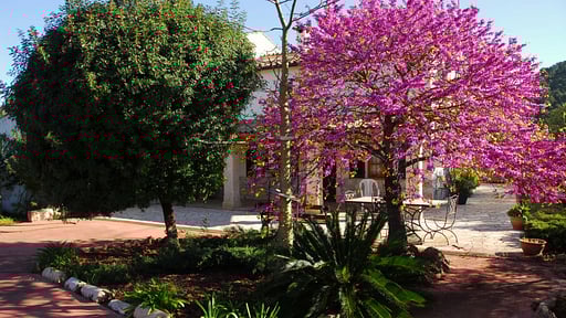 Villa Seguinot Прочее