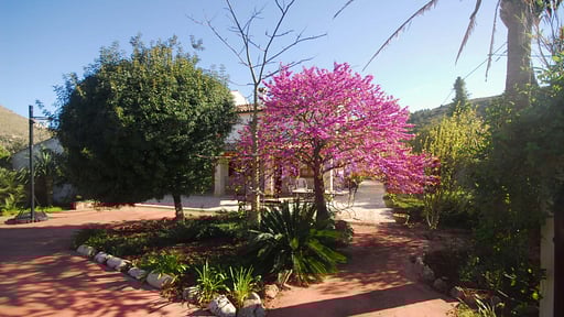 Villa Seguinot Прочее