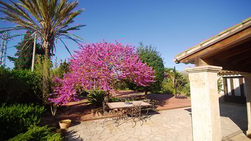 Villa Seguinot Прочее