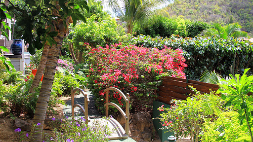 Villa Habitation Saint Louis Others