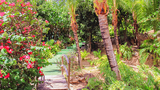 Villa Habitation Saint Louis Others