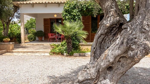 Villa Harbor Blue Others