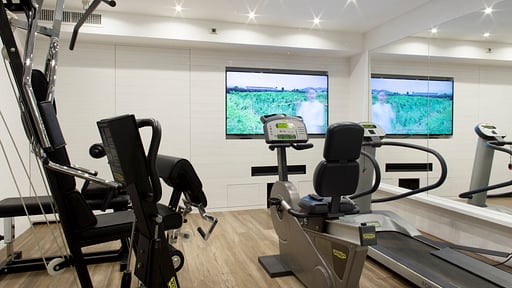 Villa I Fenicotteri Gym