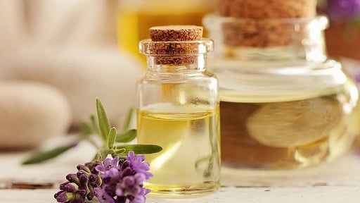 Villa Il Giardino Others