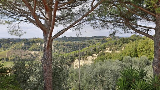 Villa Il Rosino Alto Autres 