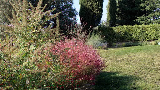 Villa Il Rosino Alto Autres 