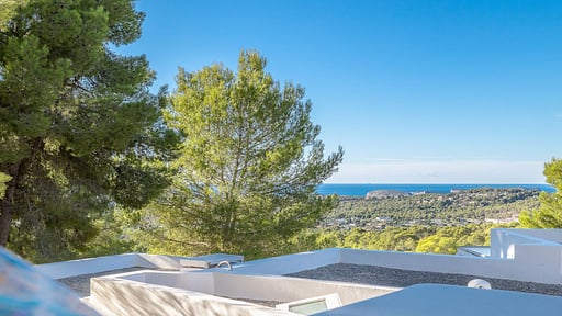 Villa Ivy Cala Tarida Drone pictures